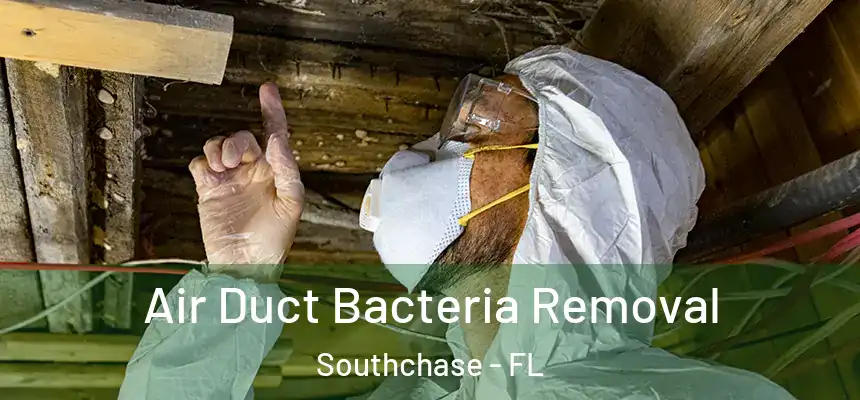 Air Duct Bacteria Removal Southchase - FL