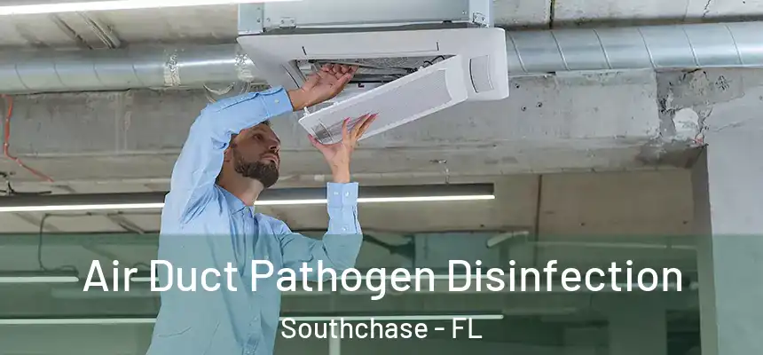 Air Duct Pathogen Disinfection Southchase - FL