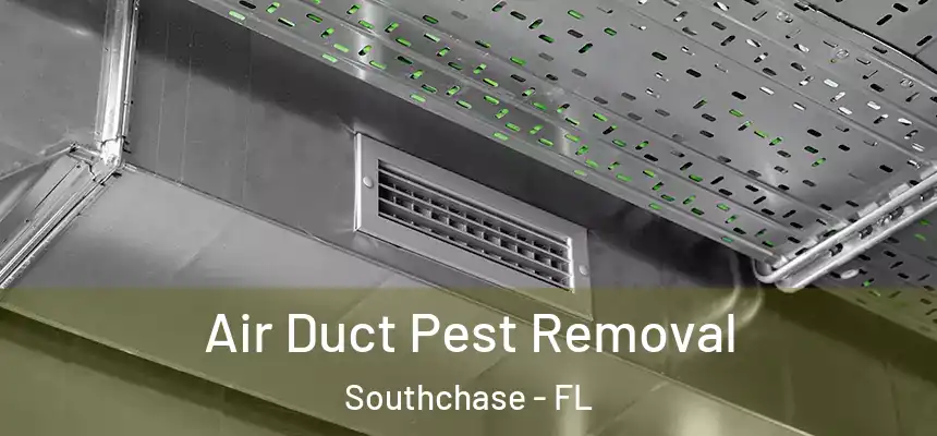 Air Duct Pest Removal Southchase - FL