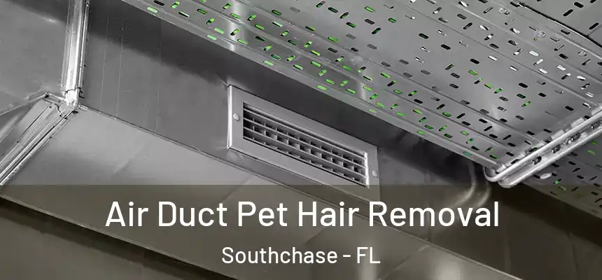 Air Duct Pet Hair Removal Southchase - FL