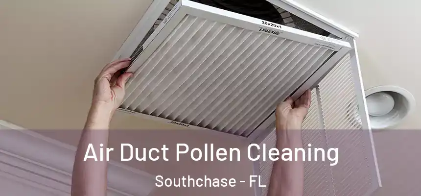 Air Duct Pollen Cleaning Southchase - FL