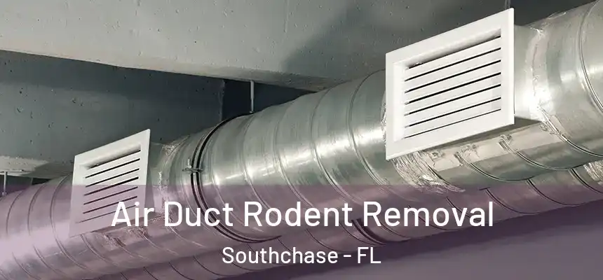 Air Duct Rodent Removal Southchase - FL