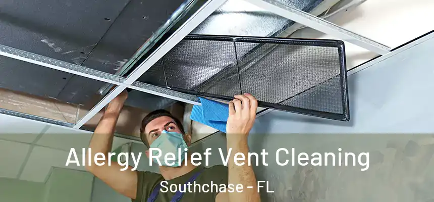 Allergy Relief Vent Cleaning Southchase - FL