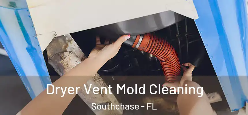 Dryer Vent Mold Cleaning Southchase - FL