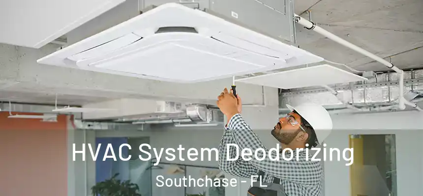HVAC System Deodorizing Southchase - FL