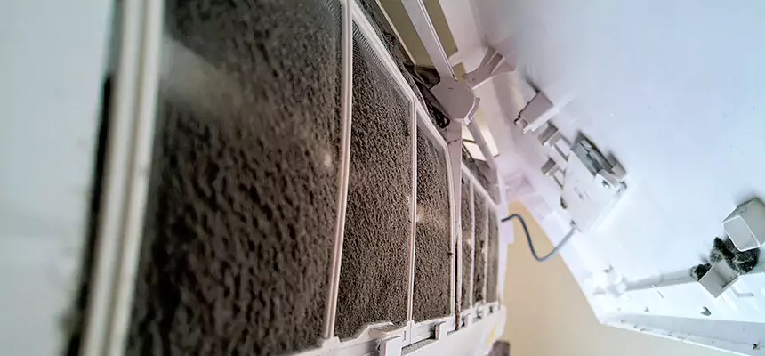 Preventive Air Duct Bacteria Removal in Southchase