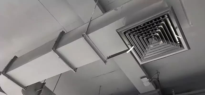 Restorative Allergy Relief Vent Cleaning – Coil, Blower & Housing Detail in Southchase