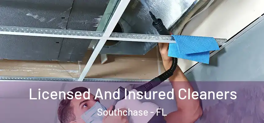 Licensed And Insured Cleaners Southchase - FL