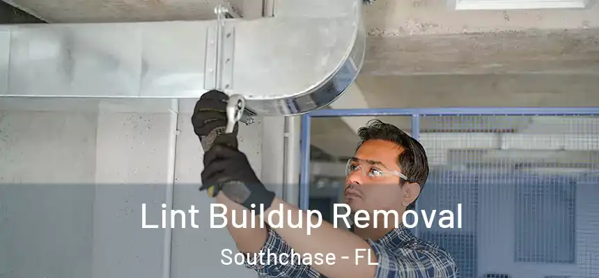 Lint Buildup Removal Southchase - FL