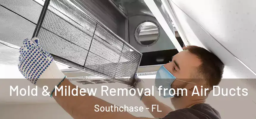 Mold & Mildew Removal from Air Ducts Southchase - FL