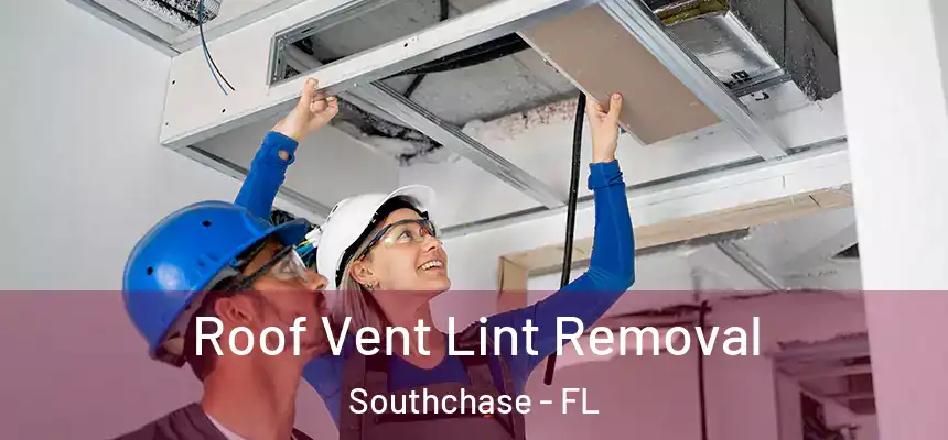Roof Vent Lint Removal Southchase - FL