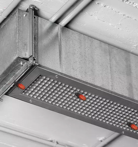 About Air Duct Cockroach Removal in Southchase, FL