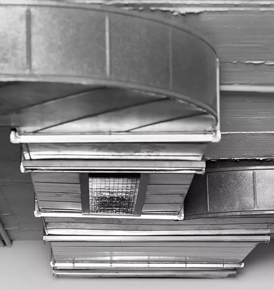 Professional Air Duct Pest Removal in Southchase, FL