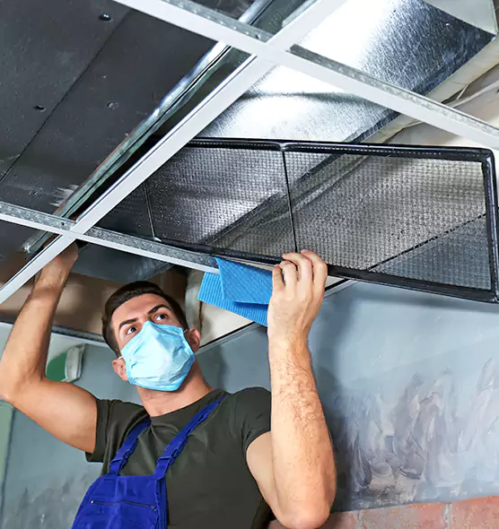 Professional Air Duct Pollen Cleaning in Southchase, FL