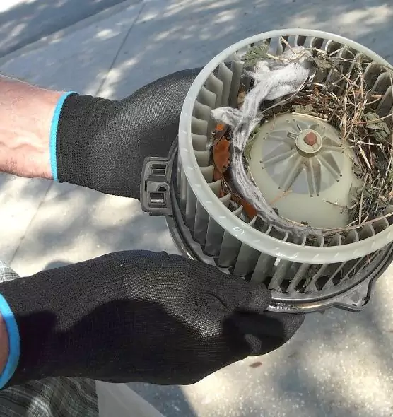 About Air Duct Rat Removal in Southchase, FL