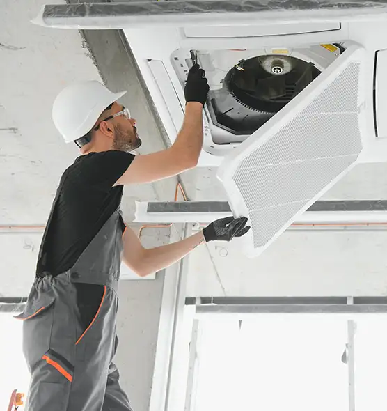 About Air Duct Rodent Removal in Southchase, FL