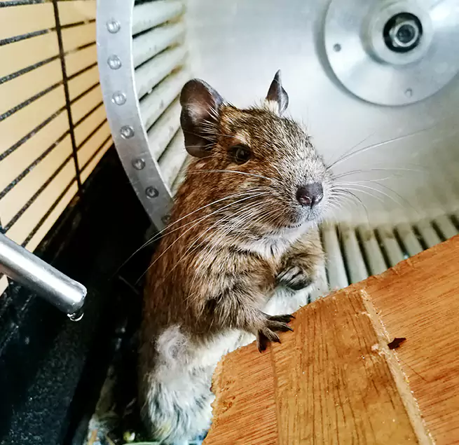 Why Homeowners & Businesses Trust Us Southchase, FL?