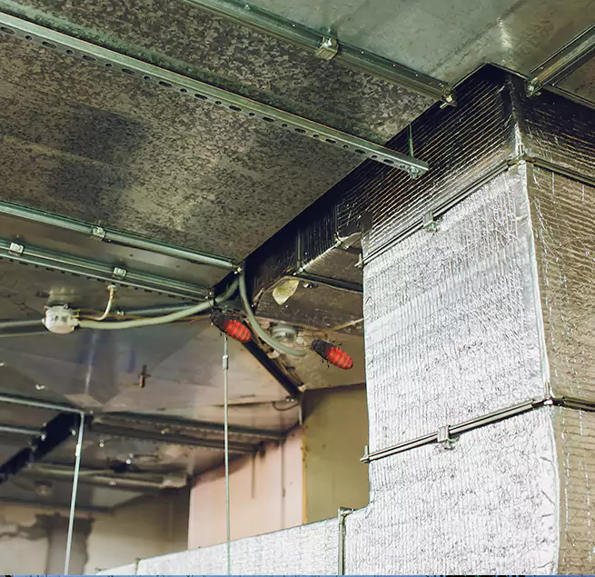 Why Homeowners & Businesses Trust Us Southchase, FL?